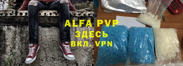 сатива Баксан