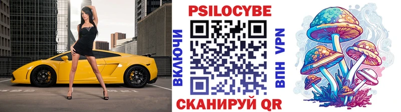 купить наркотик  Новое Девяткино  Галлюциногенные грибы Cubensis 